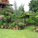 Thailand (084)